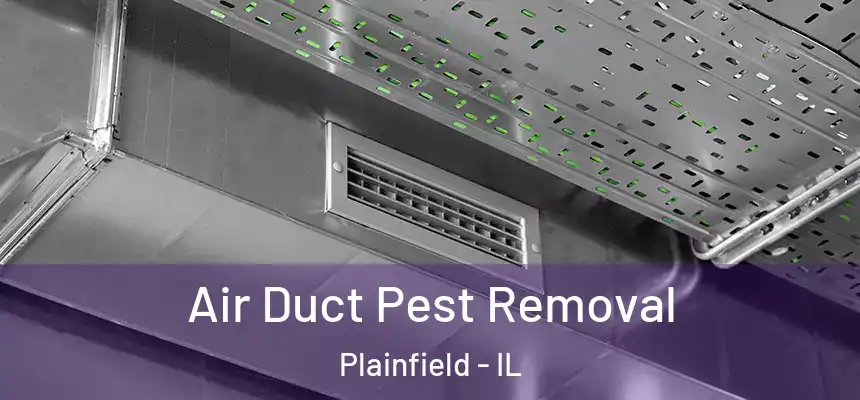  Air Duct Pest Removal Plainfield - IL