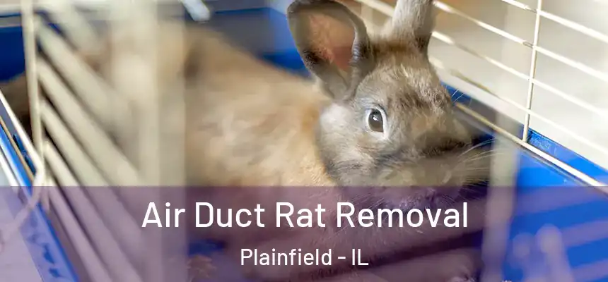  Air Duct Rat Removal Plainfield - IL