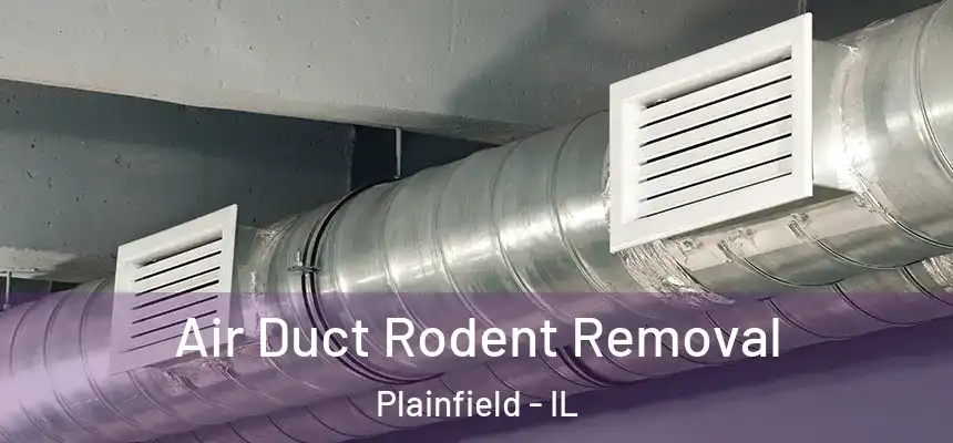  Air Duct Rodent Removal Plainfield - IL