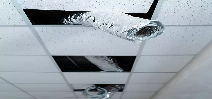 Affordable HVAC Sanitizing After Pest Removal in Plainfield