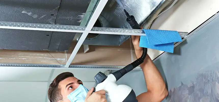Our Air Duct Rodent Removal Services in Plainfield, IL