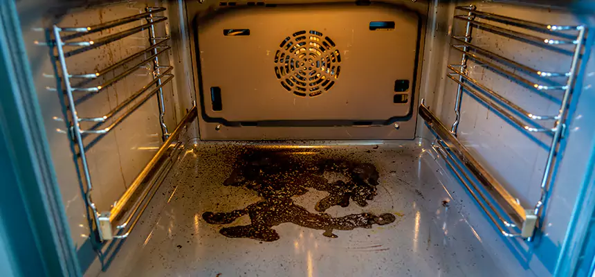 Our Dryer Vent Mold Cleaning Services in Plainfield, IL