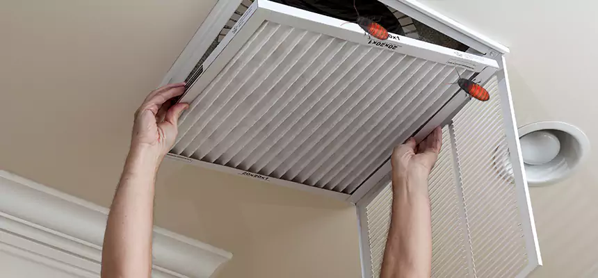 Our Insect Removal from Air Ducts Services in Plainfield, IL