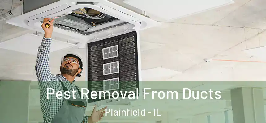  Pest Removal From Ducts Plainfield - IL