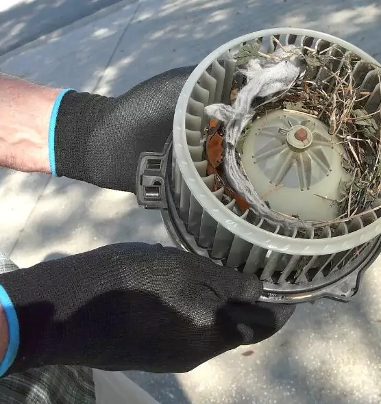 About Air Duct Mice Removal in Plainfield, IL