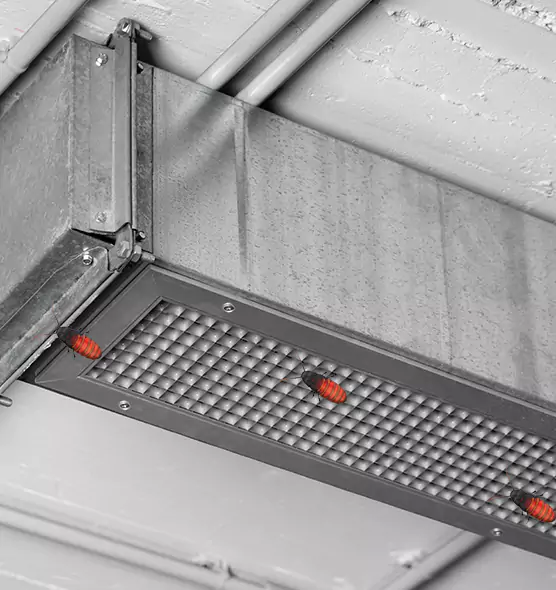 Affordable Insect Removal from Air Ducts in Plainfield, IL